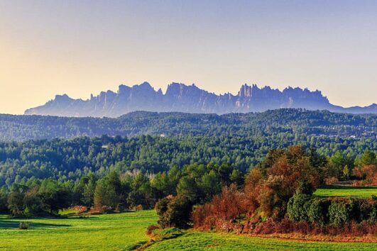 MONTSERRAT AND THE PENEDES CELLARS